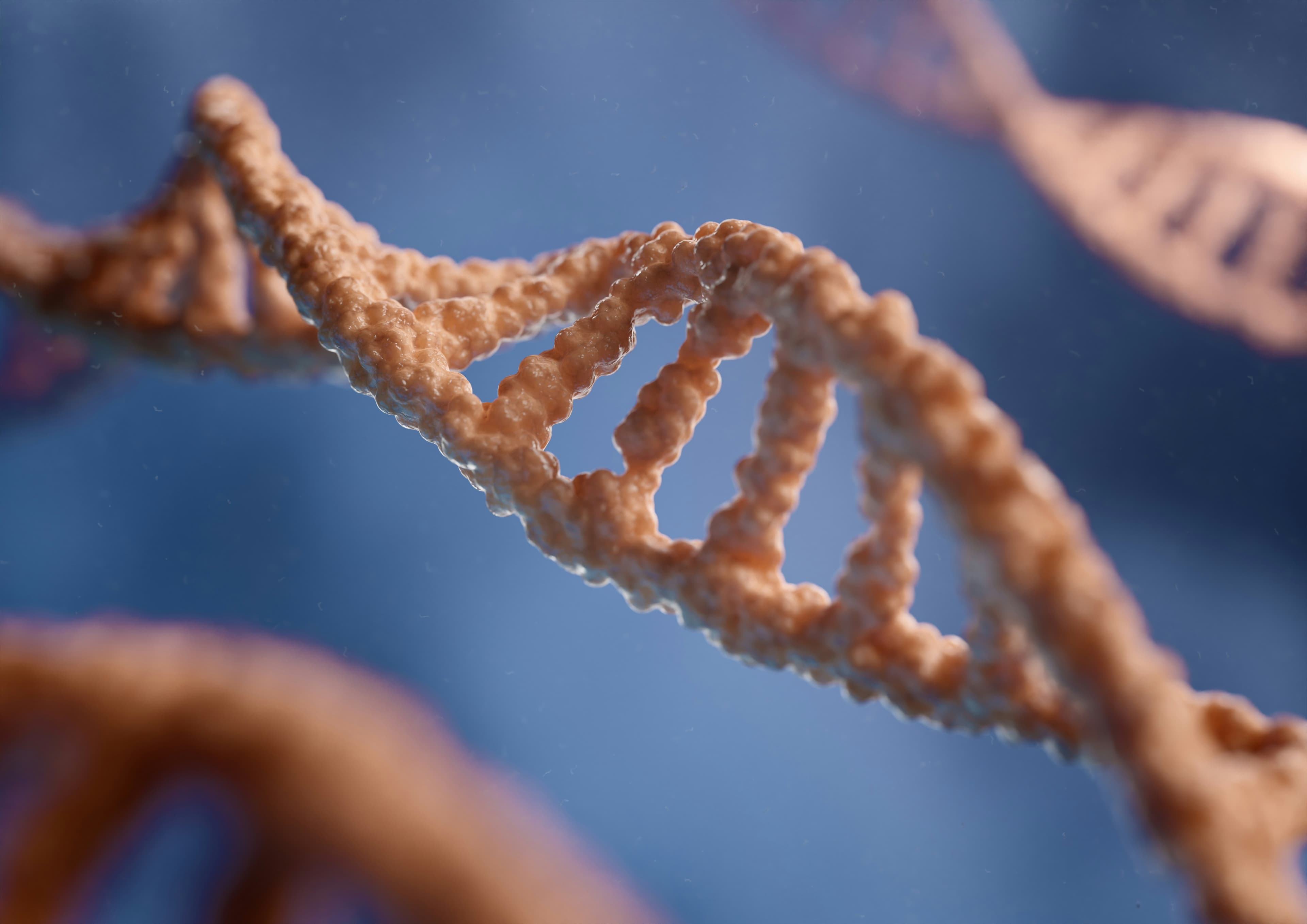 DNA-dubbelhelix 