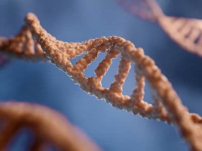 DNA-dubbelhelix 