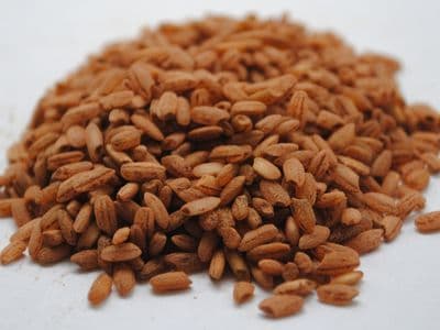 red-rice